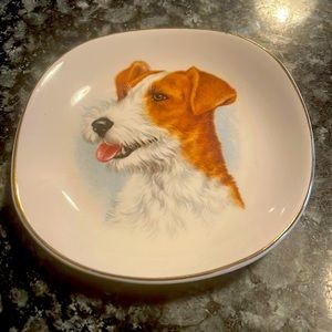 Vintage Jack Russell porcelain plate
Hanley Royal Falconware England